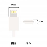 ic-earphone lightning connecter
