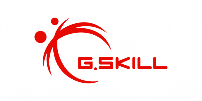 GSKILL LOGO white