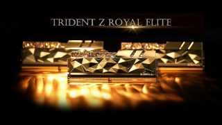 Trident Z Royal Elite | 株式会社リンクスインターナショナル